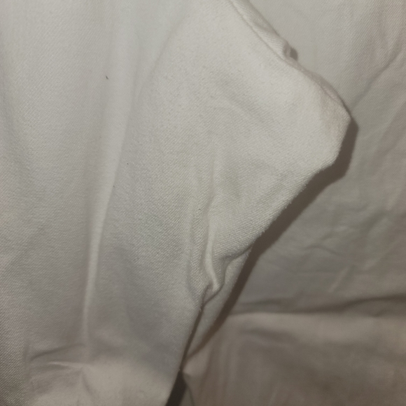 Lane Bryant Ankle Pants - Picture 2 of 2